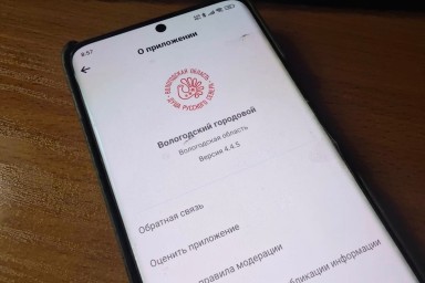 Приложением «Вологодский городовой» пользуются более четырех тысяч вологжан