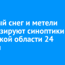 Сильный снег и метели прогнозируют синоптики в Иркутской области 24 ноября