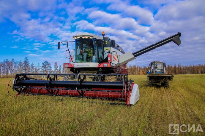 Аграрии Якутии в 2025 году собрали рекордное количество урожая Аграрии Якутии в 2025 году собрали рекордное количество урожая