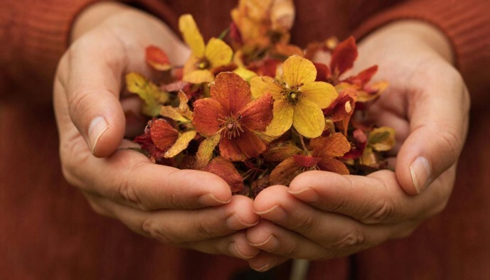 Как отдохнуть белгородцам 28–30 ноября