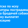 В Иркутске по иску прокуратуры пострадавшему от укуса бродячей собаки мальчику выплатят компенсацию
