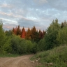 В Перми спасен ребенок, застрявший в грязи в лесу