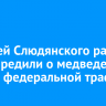 Жителей Слюдянского района предупредили о медведе вблизи федеральной трассы