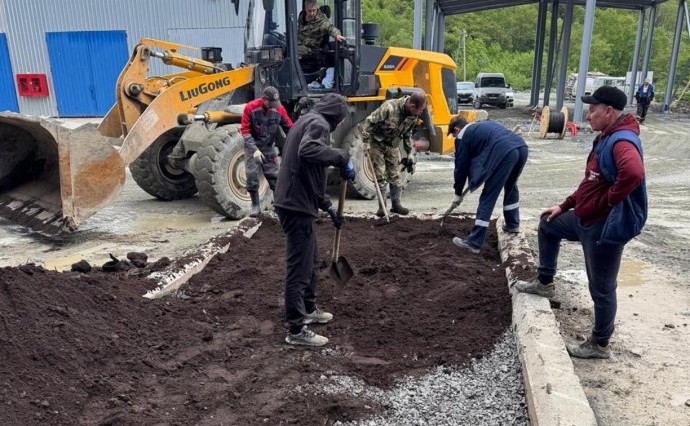 На мусорном полигоне на Сахалине высадили пионы, азалии, ирисы