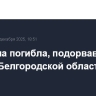 Женщина погибла, подорвавшись на мине в Белгородской области