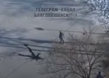 Соцсети: в парке Дружбы Благовещенска дети выходят на лед водоемов