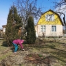 Садоводам и огородникам хотят дать льготу на электричество