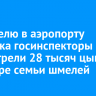 За неделю в аэропорту Иркутска госинспекторы досмотрели 28 тысяч цыплят и четыре семьи шмелей