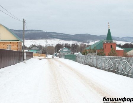 В Башкирии началось голосование за «Трезвое село»