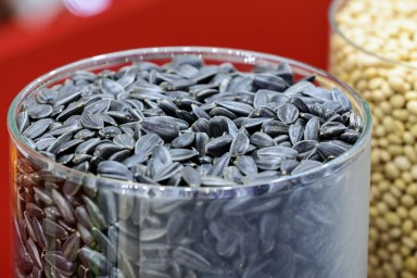 Минсельхоз: более 67% семян в России – отечественного производства