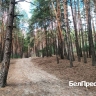 В черте Белгорода создадут особую охраняемую природную территорию