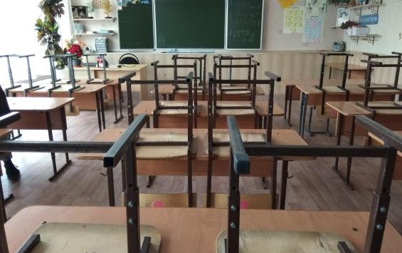 В Курской области из-за сильных морозов могут продлить дистанционный формат обучения