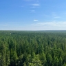 Лесные пожары на площади 37 тысяч га ликвидировали в Якутии