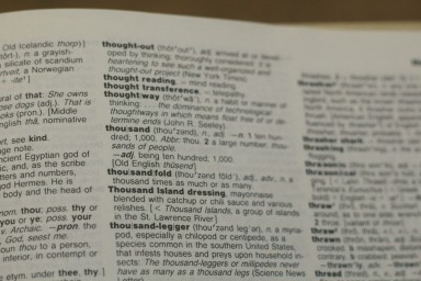 Слово «вайб» может войти в толковые словари