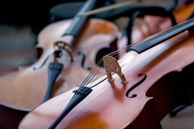 Скрипичный концерт в музее: музыка как проявление искусства