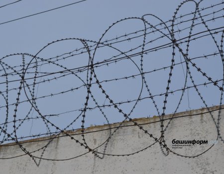 Жительница Башкирии убила супруга, подругу и собственного сына