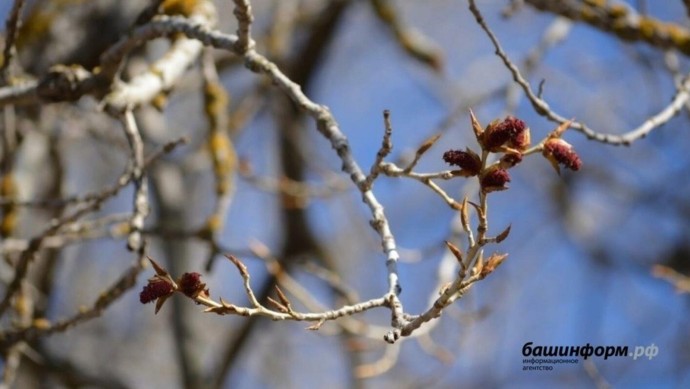 В Башкирии похолодает до -12 градусов