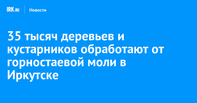 35 тысяч деревьев и кустарников обработают от горностаевой моли в Иркутске
