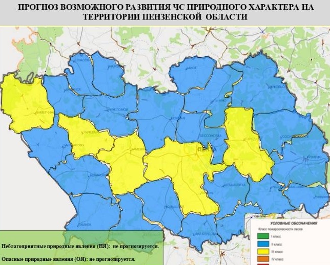 Высокая пожароопасность прогнозируется в Пензенской области 10 июня