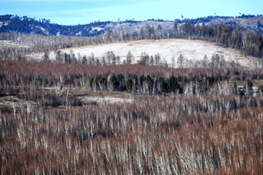 Пропавшая в тайге Красноярского края семья ушла в поход без теплой одежды