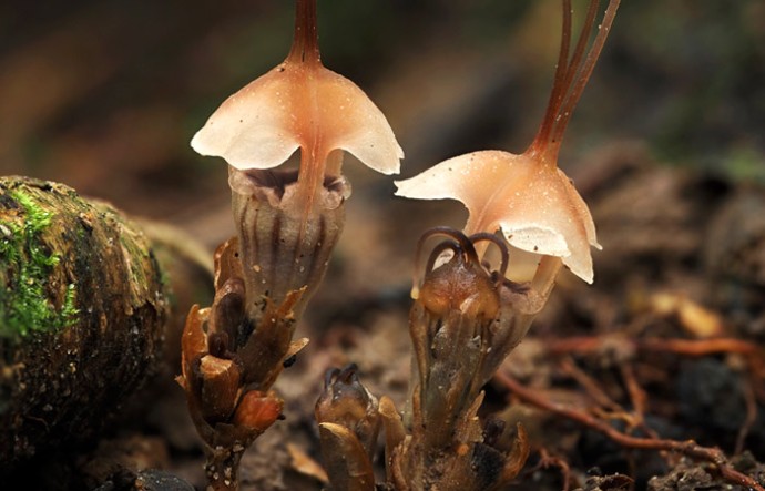 Что произошло в мире науки. Вечерний дайджест