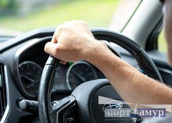 Амурчане могут получить 20 тысяч рублей за сообщение о пьяном водителе через портал Госуслуги