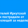 610 жителей Иркутской области пострадали от укусов клещей за неделю
