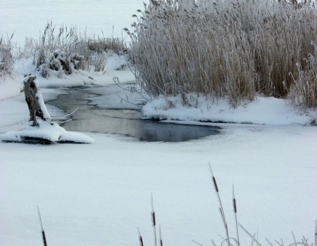 Жителей Башкирии предупредили об опасностях тонкого льда