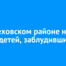 В Шелеховском районе нашли двоих детей, заблудившихся в лесу