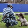 Пензенским студентам показали, как ловят преступников: собаки против нарушителей