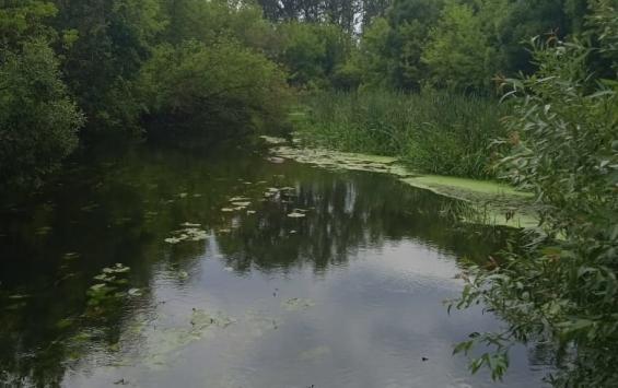 В Курской области в водохранилище найден утонувший мужчина