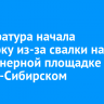 Прокуратура начала проверку из-за свалки на контейнерной площадке в Усолье-Сибирском