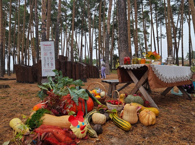 На ярмарке «УражоРкА» в национальном парке «Смольный» соберут овощи для зубров