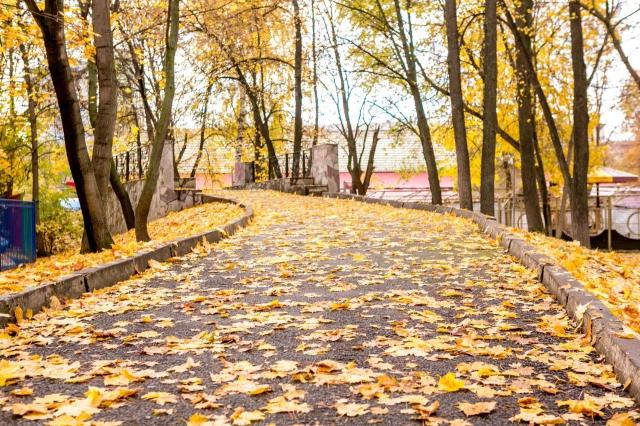 Синоптики зафиксировали новый температурный рекорд в Уфе