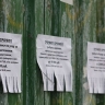 Топ-5 самых высокооплачиваемых вакансий в Астрахани