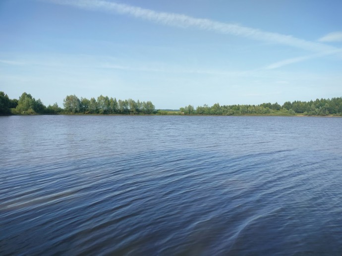В Пензенской области достали из пруда мертвого человека