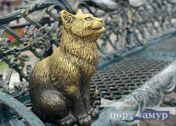 В Приамурье в начале рабочей недели вернется тепло