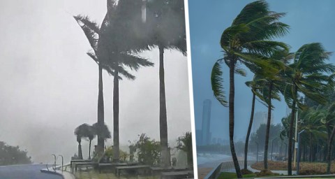 Шри-Ланка под дождем: российский туризм держит удар стихии