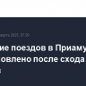 Движение поездов в Приамурье восстановлено после схода вагонов