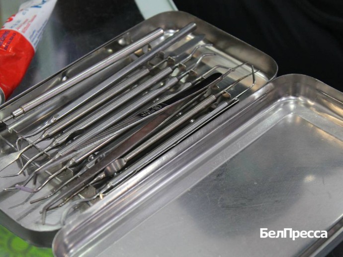 Белгородский губернатор: «Более 5,5 тысячи бойцов получили стоматологическую помощь»