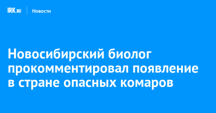 Новосибирский биолог прокомментировал появление в стране опасных комаров
