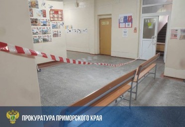 Рухнул на головы детей: владивостокская школа №46 попала в уголовное дело