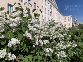 В Улан-Удэ ожидается погода без осадков