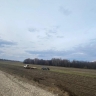 Под Орлом автоледи не справилась с управлением и съехала в кювет