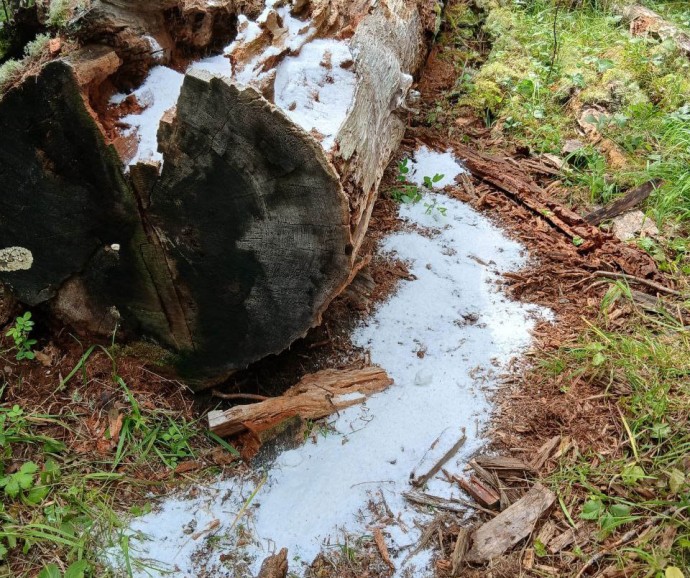 В нацпарке Бурятии обновили звериные солонцы В нацпарке Бурятии обновили звериные солонцы