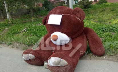 В Луговом медведь собирает деньги на берлогу