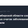 В Новосибирской области сообщают, что новых очагов заболевания скота не выявили