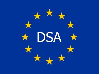 В ЕС вступили в силу новые правила доступа исследователей к непубличным данным крупных онлайн-платформ