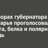 На выборах губернатора Приангарья проголосовали Баба-яга, белка и полярный медведь