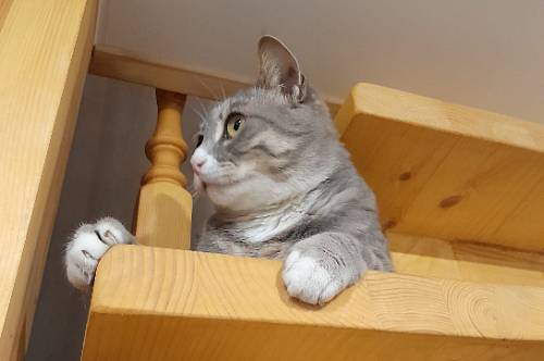 Скорпионы откусят больше, чем смогут прожевать, Раки накопят много отрицательной энергии Скорпионы откусят больше, чем смогут прожевать, Раки накопят много отрицательной энергии